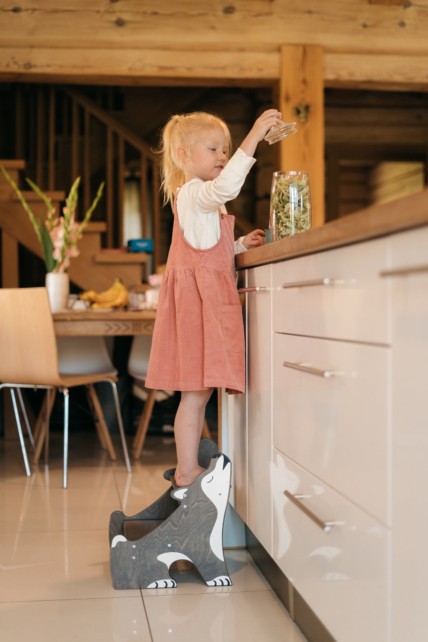 Tritthocker für Kinder - Husky Grau